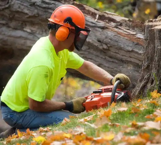 tree services Catlettsburg